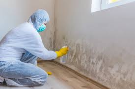 Best Industrial Mold Remediation in Garden View, PA